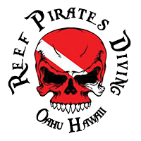 Logo Reef Pirates Hawaii