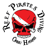 Reef Pirates Hawaii - Logo