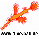 Logo DIVING HABITAT H2O