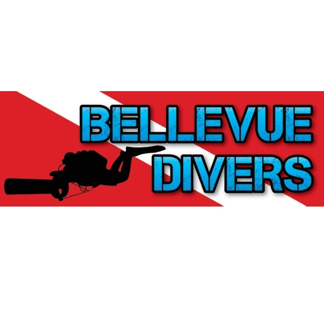 Bellevue Divers - Logo