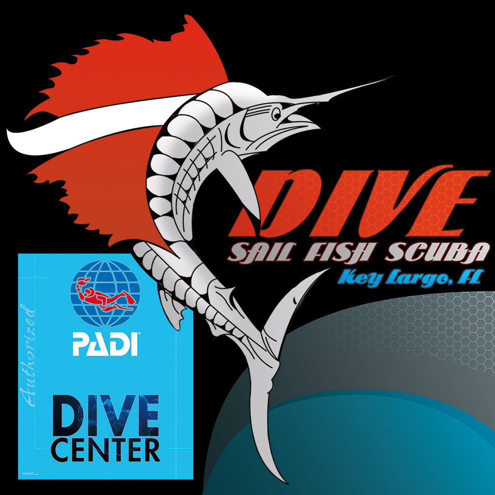 Sail Fish Scuba - Logo