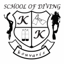 Logo School of Diving