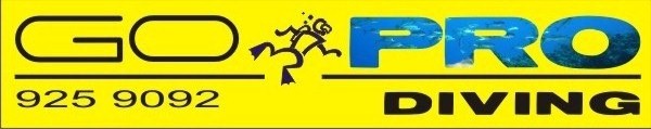 Logo Go Pro Diving