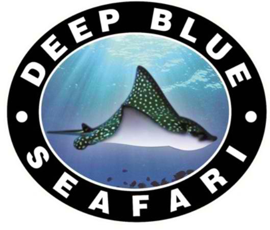 Logo Deep Blue Dive Seafari Inc