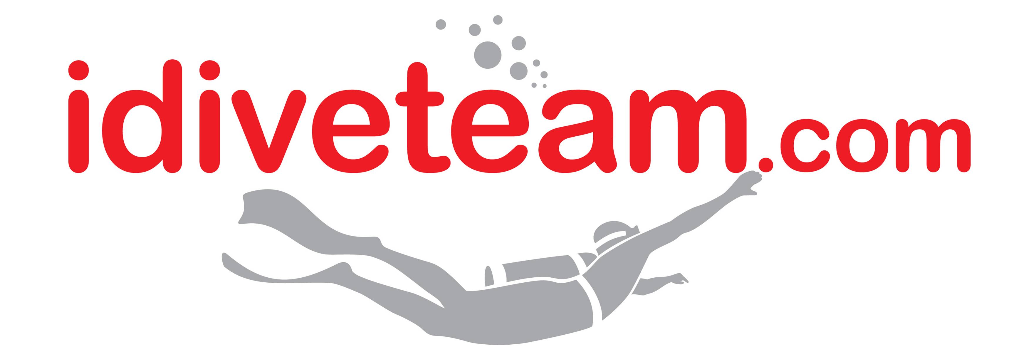 Logo idiveteam