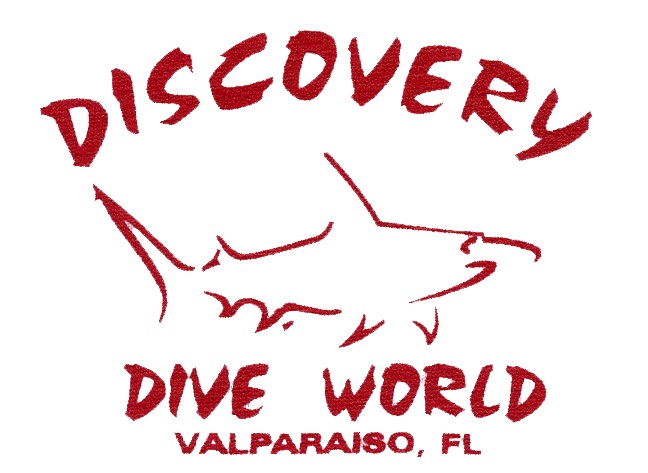 Logo Discovery Dive World