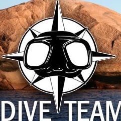 Logo Dive Team