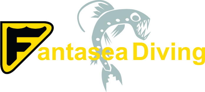 Logo Fantasea Diving