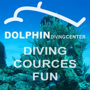 Dolphin Diving Center - Logo