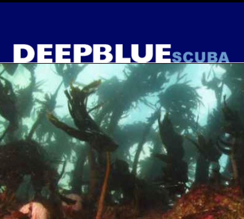 Logo Deep Blue Scuba