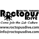 Logo Roctopus Dive