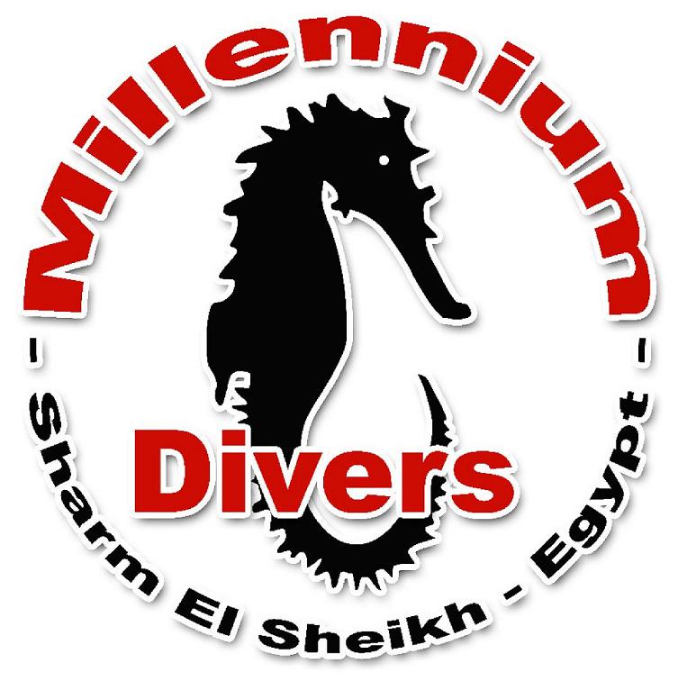 Millennium Divers - Logo