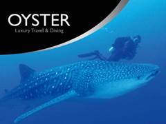 Logo Oyster Luxury Travel & Diving