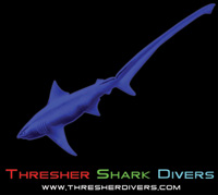 Thresher Shark Divers - Logo