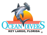 Ocean Divers - Logo