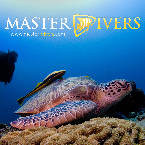 Logo Master Scuba Divers Co, Ltd.