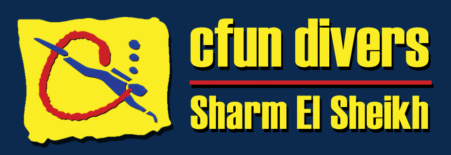 C Fun Divers - Logo