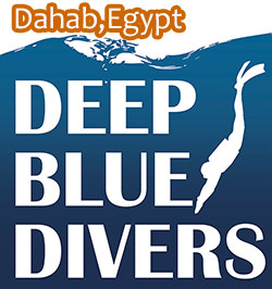 Deep Blue Divers - Logo