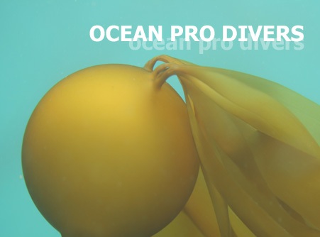 Logo Ocean Pro Divers