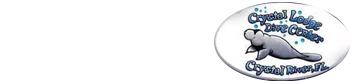 Crystal Lodge Dive Center - Logo