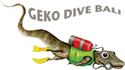 Geko Dive - Logo