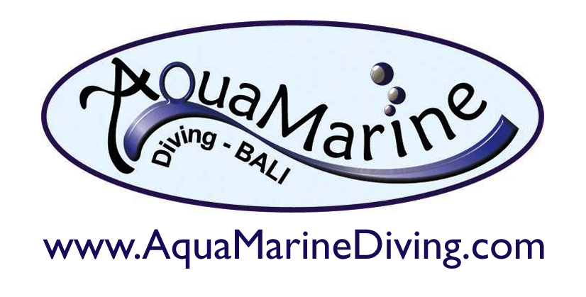 Logo AquaMarine Diving - Bali