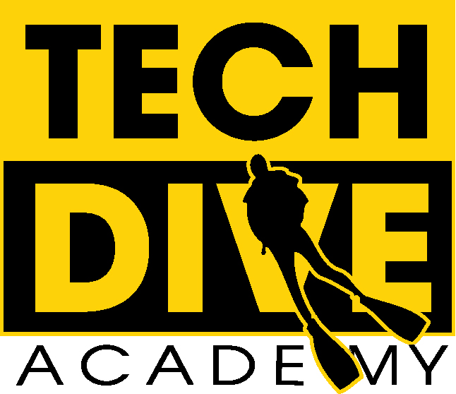 Logo Tech Dive Academy