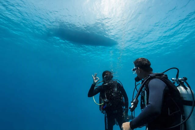 Two divers giving each other the OK sign just below the surface