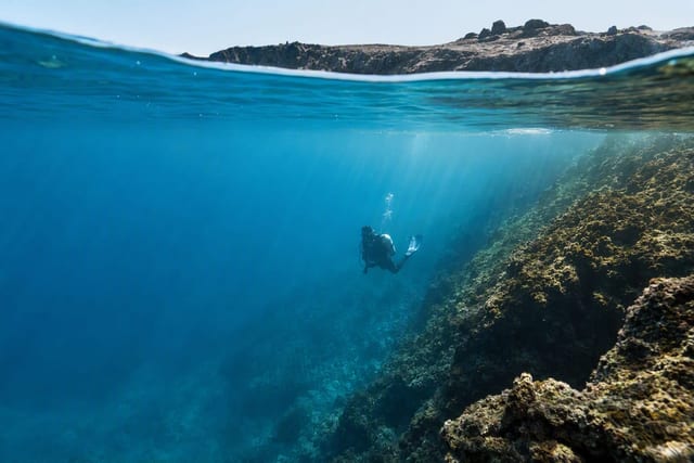 A diver above a rocky reef in clear water