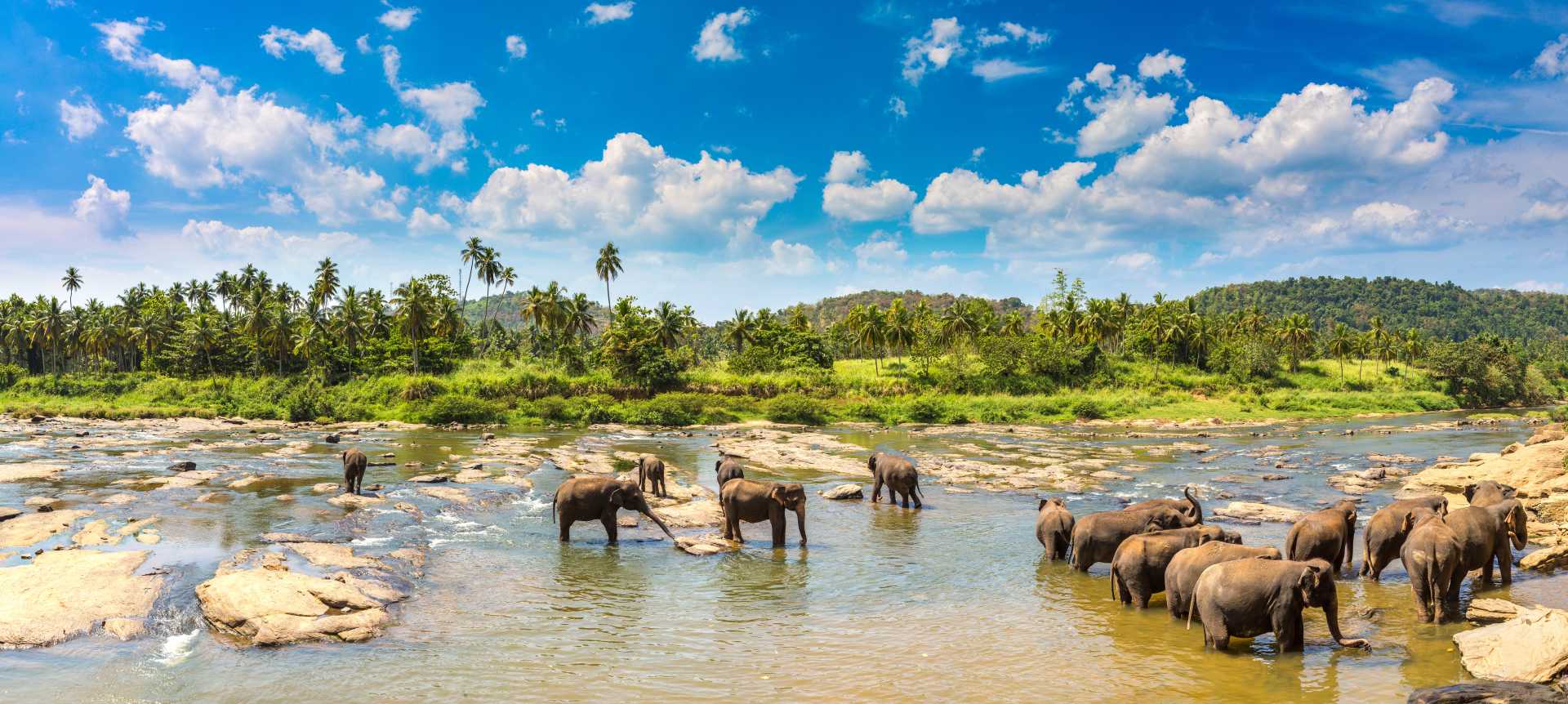 Sri Lanka