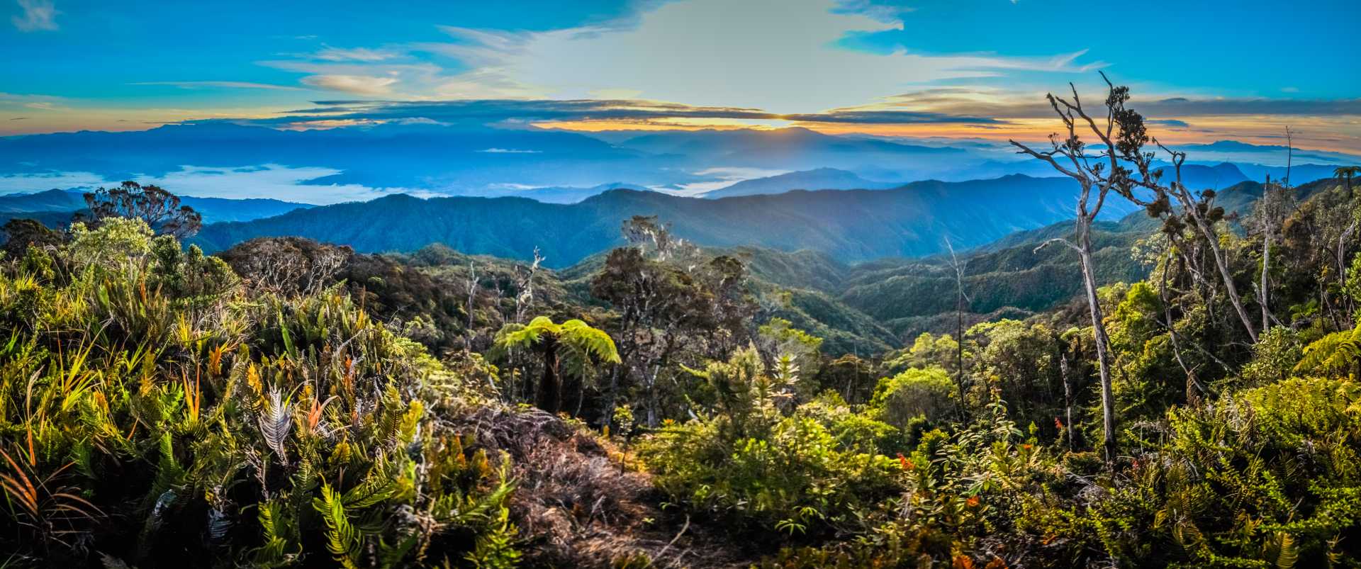 Papúa Nueva Guinea