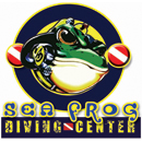 Phi Phi Sea Frog - Logo