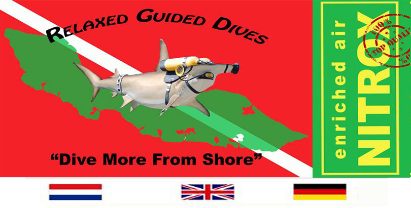 Relaxed Guided Dives - Logo