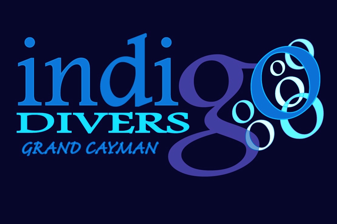 Indigo Divers - Logo