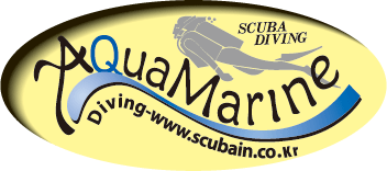 Aqua Marine - Logo