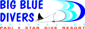 Big Blue Divers - Logo