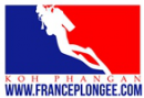 FRANCE PLONGEE - Logo
