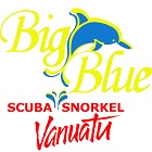 Big Blue - Logo