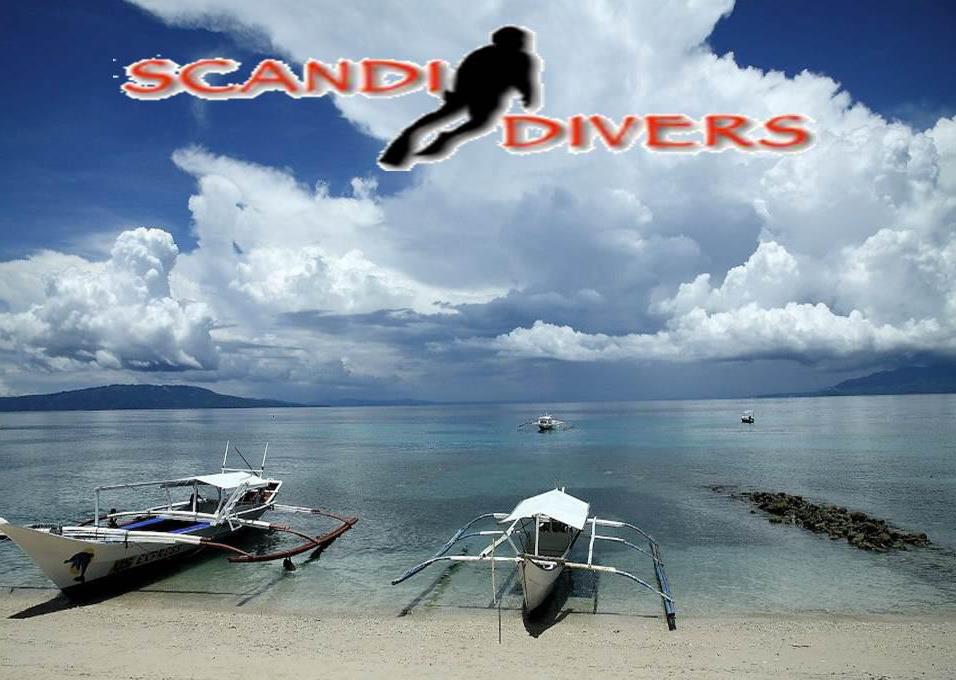Scandi Divers - Logo