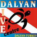 DALYAN DIVE - Logo