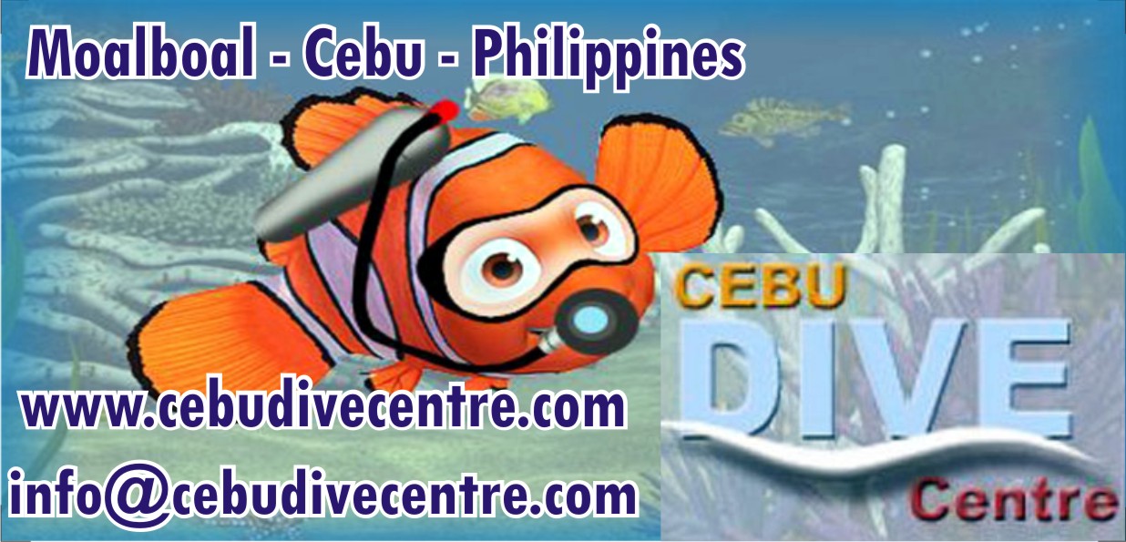 Cebu Dive Centre - Logo