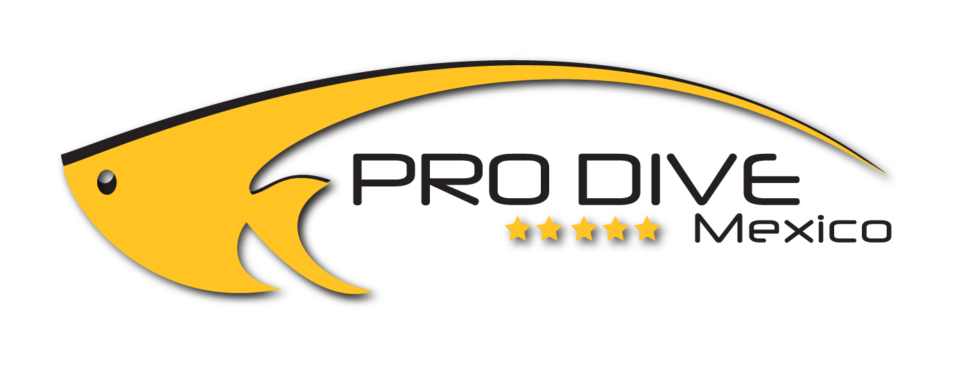Pro Dive Mexico - Logo