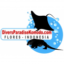 Divers Paradise Komodo - Logo