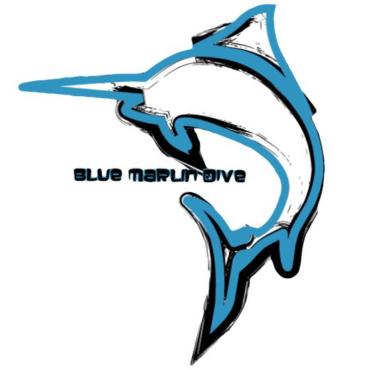 Blue Marlin Dive Lombok - Logo