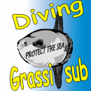 Diving Grassi-Sub - Logo