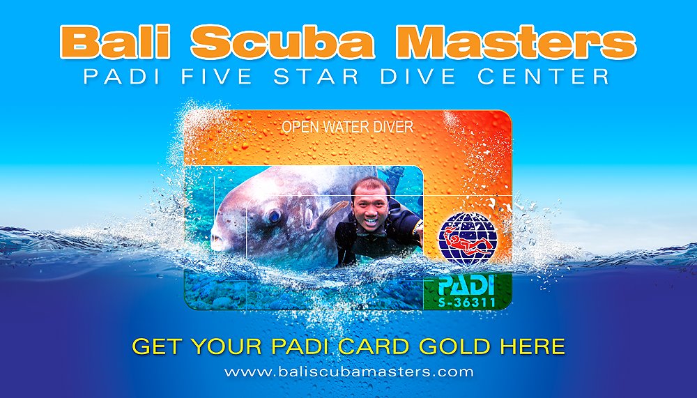 Bali Scuba Masters - Logo