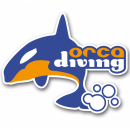 Orca Diving - Logo