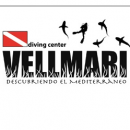 VELLMARI - Logo