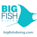 BIG FISH DIVING - Logo