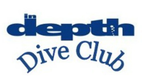 Logo Indepth